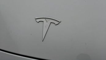 Tesla Model 3 ALL MODELS