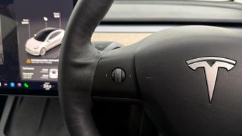 Tesla Model 3 ALL MODELS