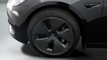 Tesla Model 3 ALL MODELS