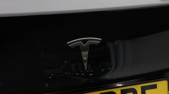 Tesla Model 3 ALL MODELS