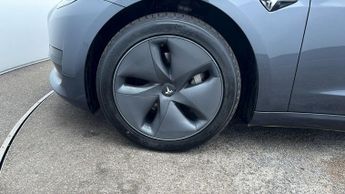 Tesla Model 3 ALL MODELS