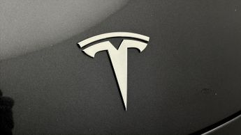 Tesla Model Y ALL MODELS