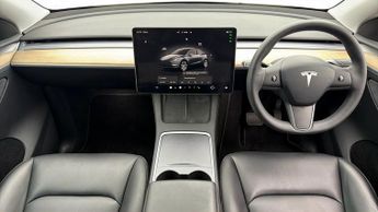 Tesla Model Y ALL MODELS