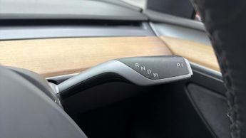 Tesla Model Y ALL MODELS