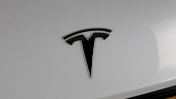 Tesla Model 3 ALL MODELS