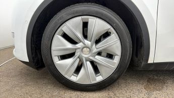 Tesla Model Y ALL MODELS