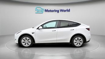 Tesla Model Y ALL MODELS