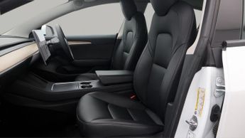 Tesla Model 3 ALL MODELS