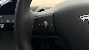 Tesla Model 3 ALL MODELS