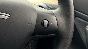 Tesla Model 3 ALL MODELS