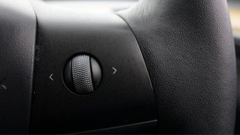 Tesla Model Y ALL MODELS