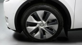 Tesla Model Y ALL MODELS