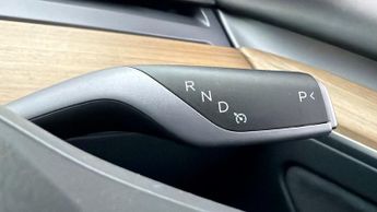 Tesla Model 3 ALL MODELS