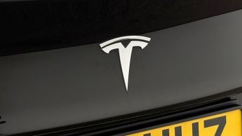 Tesla Model 3 ALL MODELS