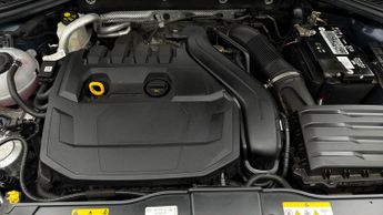 Volkswagen T-Roc SEL TSI EVO DSG