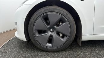 Tesla Model 3 ALL MODELS