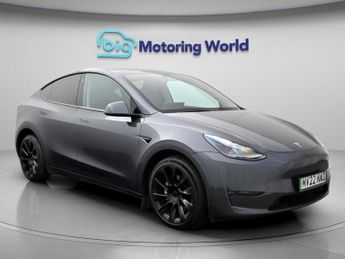 Tesla Model Y ALL MODELS