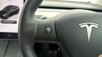 Tesla Model Y ALL MODELS