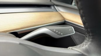 Tesla Model Y ALL MODELS