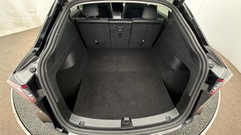 Tesla Model Y ALL MODELS