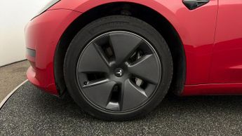 Tesla Model 3 ALL MODELS