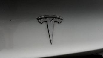 Tesla Model 3 ALL MODELS