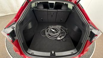 Tesla Model Y ALL MODELS