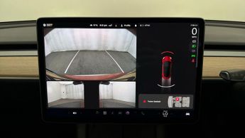 Tesla Model 3 ALL MODELS