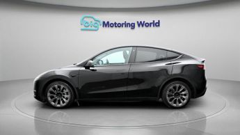 Tesla Model Y ALL MODELS