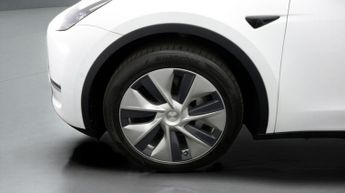 Tesla Model Y ALL MODELS