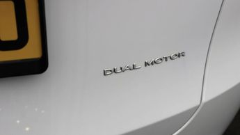 Tesla Model Y ALL MODELS