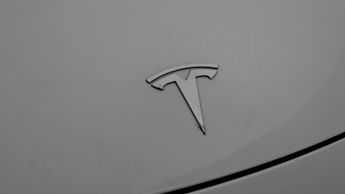 Tesla Model Y ALL MODELS