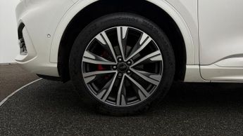 Ford Kuga ST-LINE X EDITION