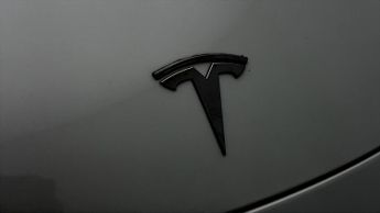 Tesla Model Y ALL MODELS