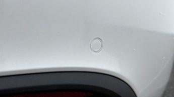 Tesla Model Y ALL MODELS