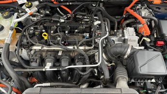 Ford Kuga ST-LINE EDITION