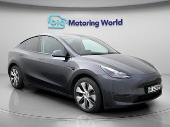 Tesla Model Y ALL MODELS