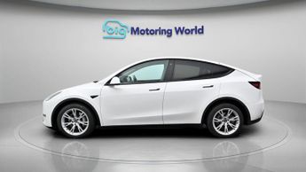 Tesla Model Y ALL MODELS