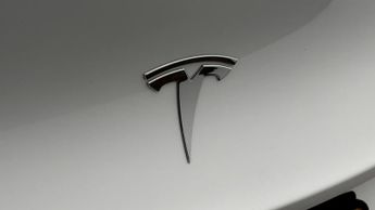 Tesla Model Y ALL MODELS