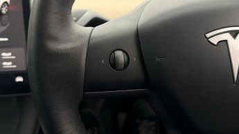 Tesla Model Y ALL MODELS