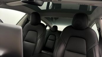 Tesla Model 3 ALL MODELS