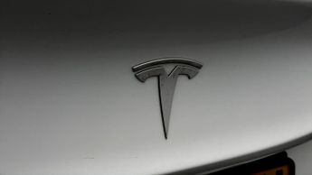 Tesla Model 3 ALL MODELS