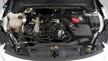 Ford Focus ACTIVE