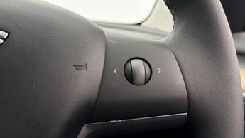 Tesla Model 3 ALL MODELS