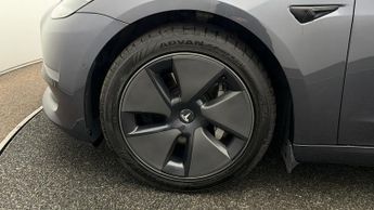 Tesla Model 3 ALL MODELS