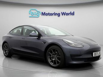 Tesla Model 3 ALL MODELS