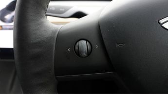 Tesla Model 3 ALL MODELS