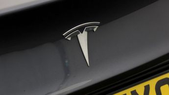 Tesla Model 3 ALL MODELS