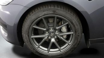 Tesla Model 3 ALL MODELS