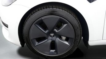 Tesla Model 3 ALL MODELS